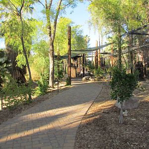 Tropics Trail - Gilbert Aviaries