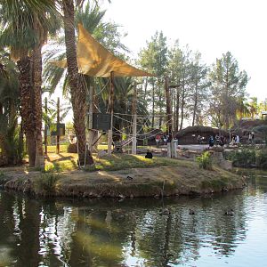 Children's Trail - Siamang Exhibit
