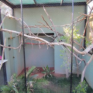 Children's Trail - Callitrichid Exhibits