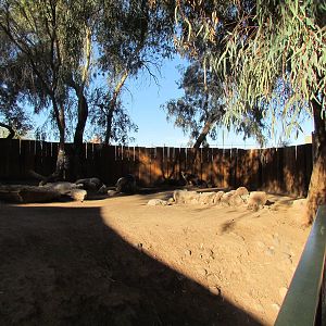 Children's Trail - Calamian Deer Exhibit