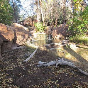 Children's Trail - Black Swan Exhibit