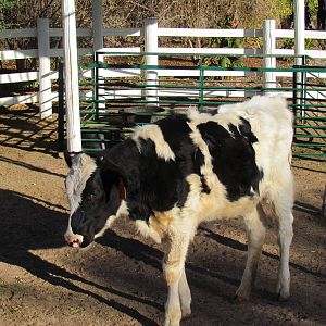 Children's Trail - Harmony Farm