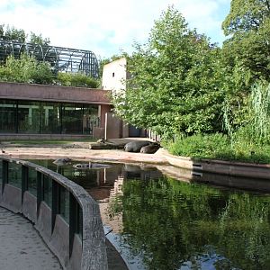 ZOO Antwerpen - Hippotopia (Hippo exhibit)