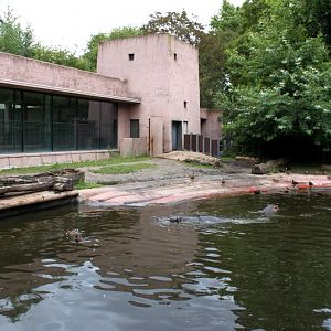 ZOO Antwerpen - Hippotopia (Hippo exhibit)