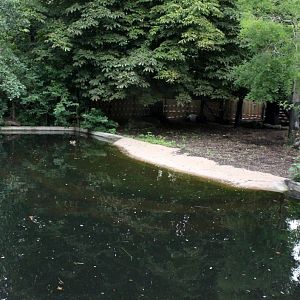 ZOO Antwerpen - Hippotopia (Tapir exhibit)