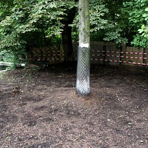ZOO Antwerpen - Hippotopia (Tapir exhibit)