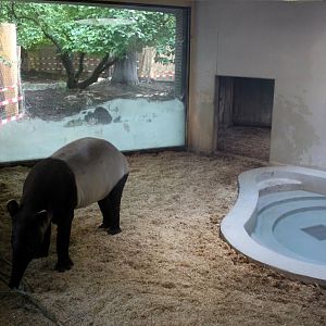 ZOO Antwerpen - Hippotopia (Tapir House)