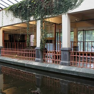 ZOO Antwerpen - Hippotopia (Hippo House)