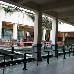 ZOO Antwerpen - Hippotopia (Hippo House)