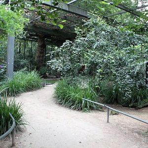 ZOO Antwerpen - Hippotopia (Walkthrough Aviary)