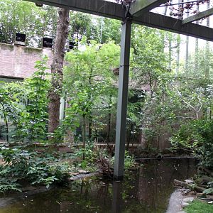 ZOO Antwerpen - Hippotopia (Walkthrough Aviary)