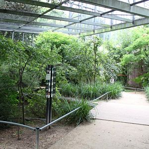 ZOO Antwerpen - Hippotopia (Walkthrough Aviary)