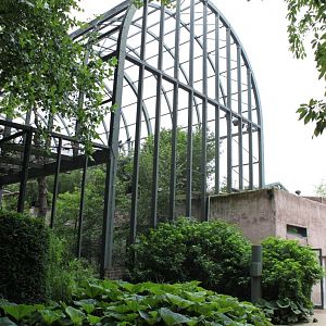 ZOO Antwerpen - Hippotopia