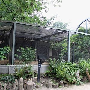 ZOO Antwerpen - Hippotopia (Walkthrough Aviary)