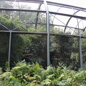 ZOO Antwerpen - Hornbill aviary