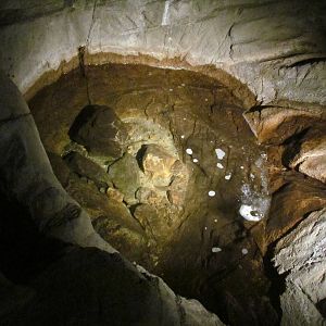 Earth Science Center - Crayfish Pool