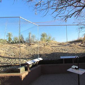 Desert Grasslands - Prairie Dog Exhibit