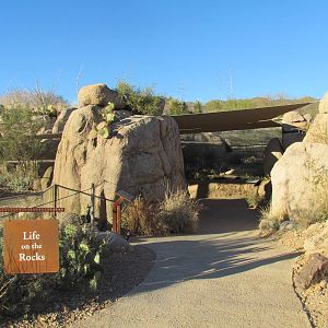 Life on the Rocks - Entrance