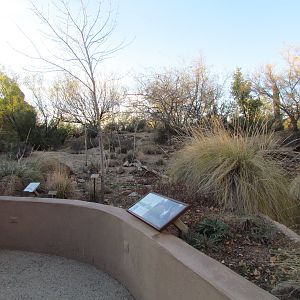Riparian Corridor - White-nosed Coati Exhibit