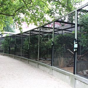 ZOO Antwerpen - Bird House (Avaries)