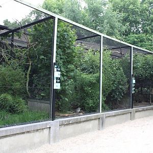 ZOO Antwerpen - Bird House (Avaries)