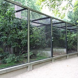 ZOO Antwerpen - Bird House (Avaries)