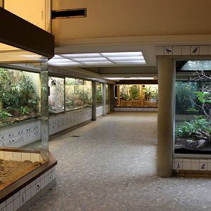 ZOO Antwerpen - Bird House