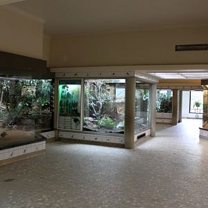 ZOO Antwerpen - Bird House