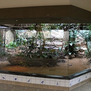 ZOO Antwerpen - Bird House (South America)