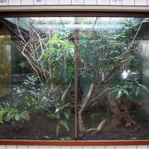 ZOO Antwerpen - Bird House (Hummingbird/honeycreeper)