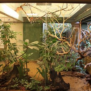 ZOO Antwerpen - Bird House (South America)