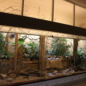 ZOO Antwerpen - Bird House (Asia)