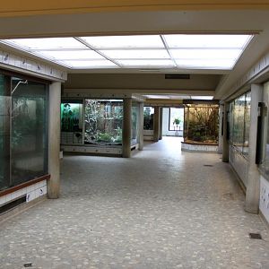 ZOO Antwerpen - Bird House