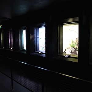 ZOO Antwerpen - Bird House