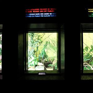 ZOO Antwerpen - Bird House