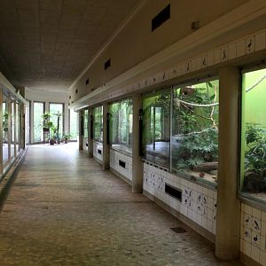 ZOO Antwerpen - Bird House