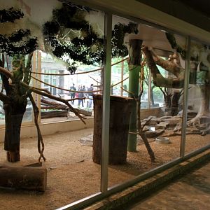 ZOO Antwerpen - Bird House (Macaw exhibit)