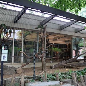 ZOO Antwerpen - Bird House (Macaw aviary)