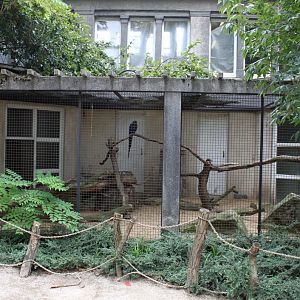 ZOO Antwerpen - Bird House (Macaw aviary)
