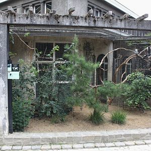 ZOO Antwerpen - Bird House (Hornbill aviary)