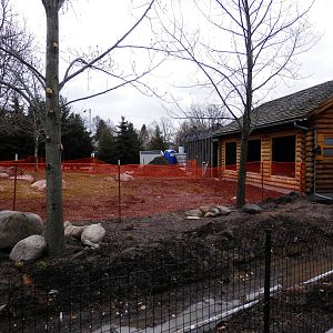 Grey Wolf exhibit renovation