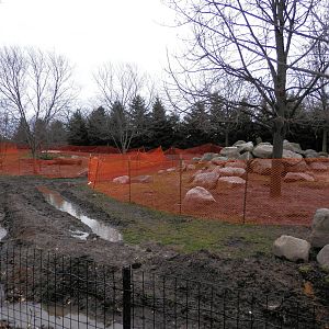 Grey Wolf exhibit renovation