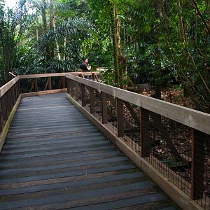 Fishing Cat Trail - Mousedeer exhibit