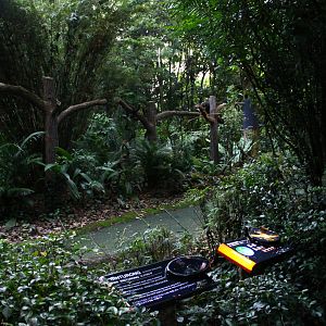 Fishing Cat Trail - Binturong exhibit