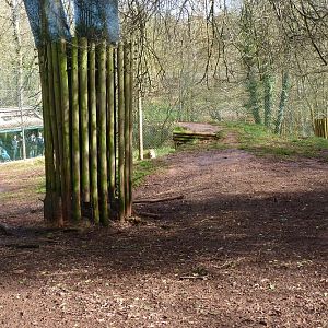 Asiatic lion enclosure 4 March 2010