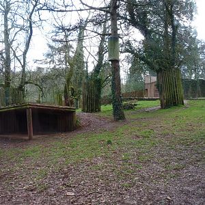 Asiatic lion enclosure 4 March 2012