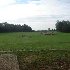African Savanna exhibit