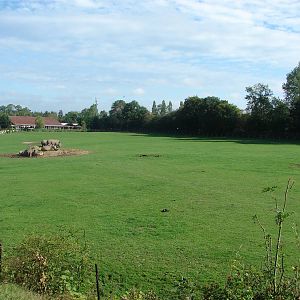 African Savanna exhibit