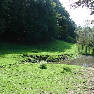South american exhibit
