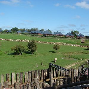 Indian rhinoceros exhibit